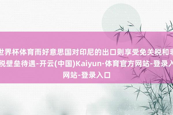 世界杯体育而好意思国对印尼的出口则享受免关税和非关税壁垒待遇-开云(中国)Kaiyun·体育官方网站-登录入口