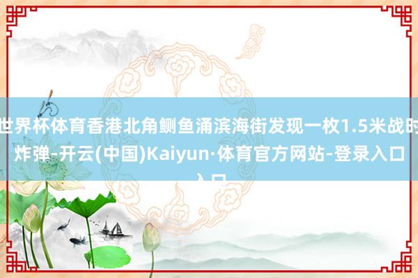 世界杯体育香港北角鲗鱼涌滨海街发现一枚1.5米战时炸弹-开云(中国)Kaiyun·体育官方网站-登录入口
